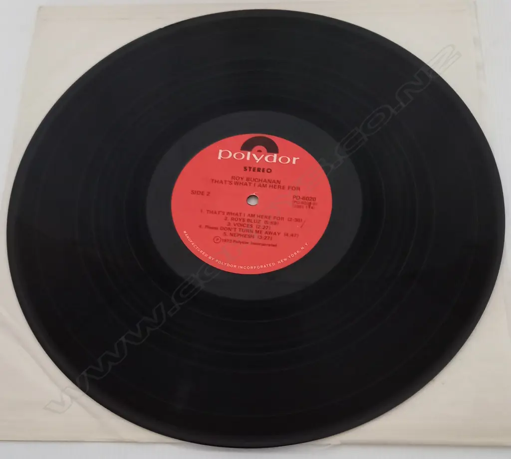 Roy Buchanan, That's What I Am Here For Image 1++